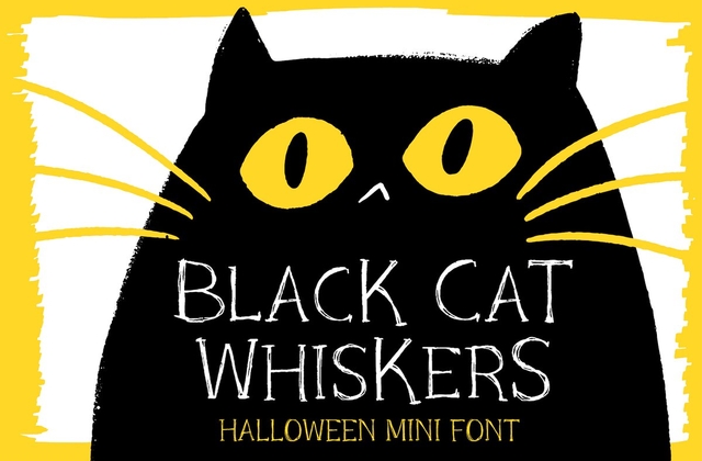 Przykład czcionki Black Cat Whiskers